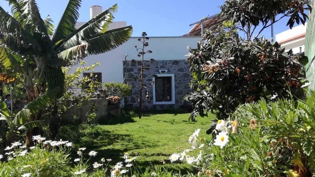 Villa Canaria Piscina Jacuzzi Jardin Santa Maria de Guia de Gran Canaria Kültér fotó