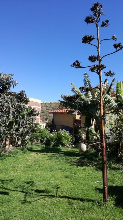 Villa Canaria Piscina Jacuzzi Jardin Santa Maria de Guia de Gran Canaria Kültér fotó