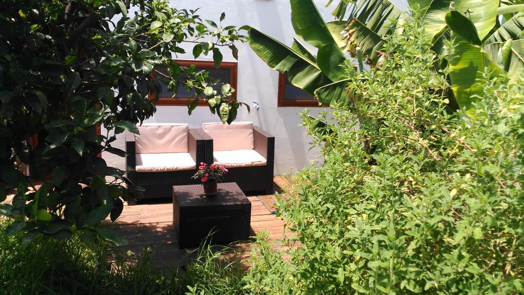 Villa Canaria Piscina Jacuzzi Jardin Santa Maria de Guia de Gran Canaria Kültér fotó