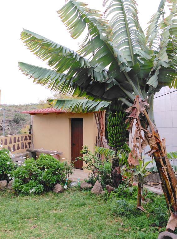 Villa Canaria Piscina Jacuzzi Jardin Santa Maria de Guia de Gran Canaria Kültér fotó
