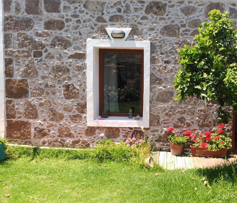 Villa Canaria Piscina Jacuzzi Jardin Santa Maria de Guia de Gran Canaria Kültér fotó