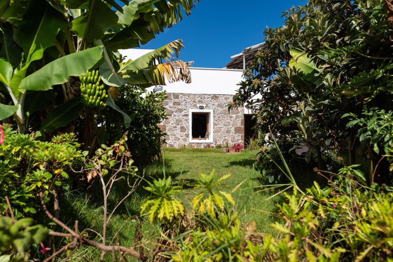 Villa Canaria Piscina Jacuzzi Jardin Santa Maria de Guia de Gran Canaria Kültér fotó